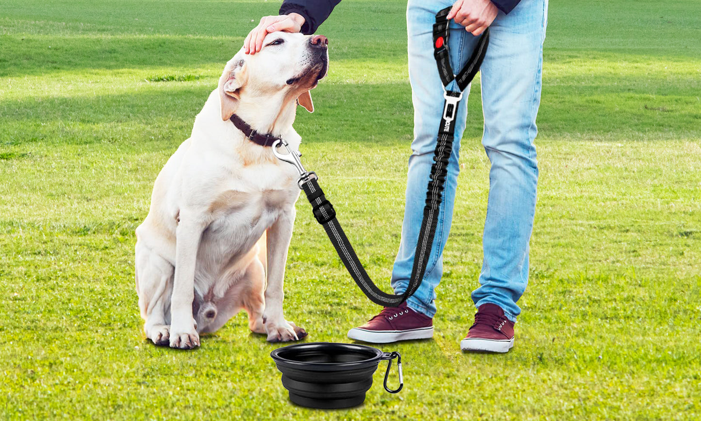 OriginalSouring Dog Seat Belt Harness for Car Adjustable Length 2-in-1 Car Dog Leash & Pet Bowl Keeps Pet Dog Safe