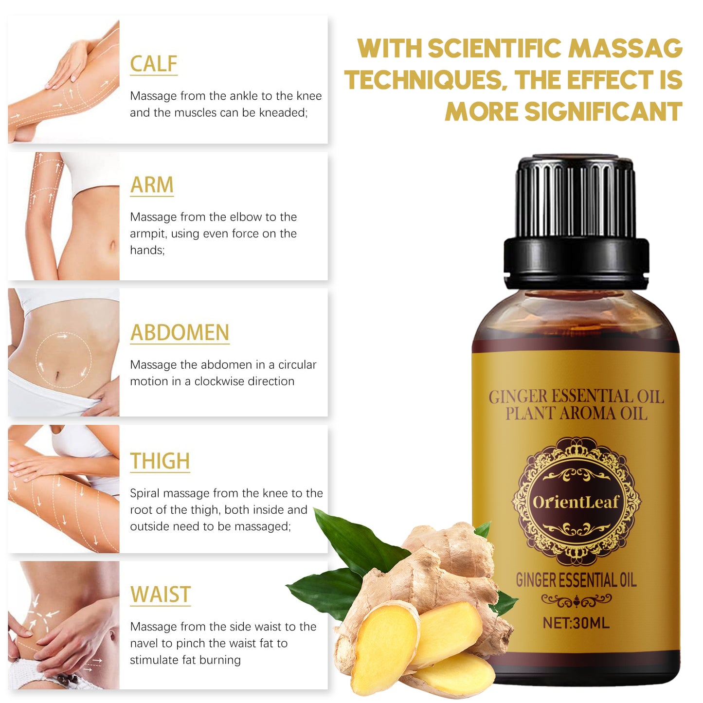 Ginger Belly Massage Oil SPA Slimming Tummy Body Massage Oil